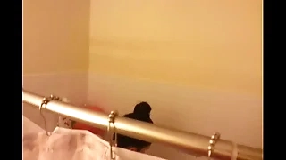 Creeping with on Wife with shower