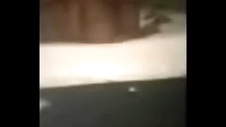 2021 bbw swinger yell thighs